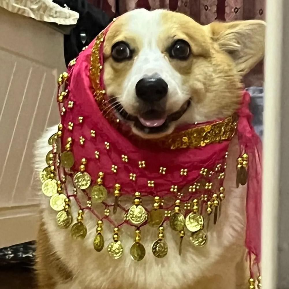 Dog Booty Shake Dance Booty To - đánh giá và giá Printed Wrap Skirt